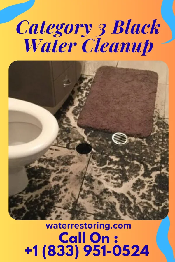 Category 3 Black Water Cleanup in Brentwood, TN