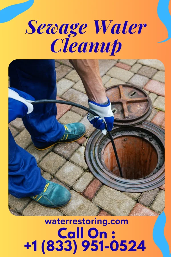 Sewage Water Cleanup in Brentwood, TN