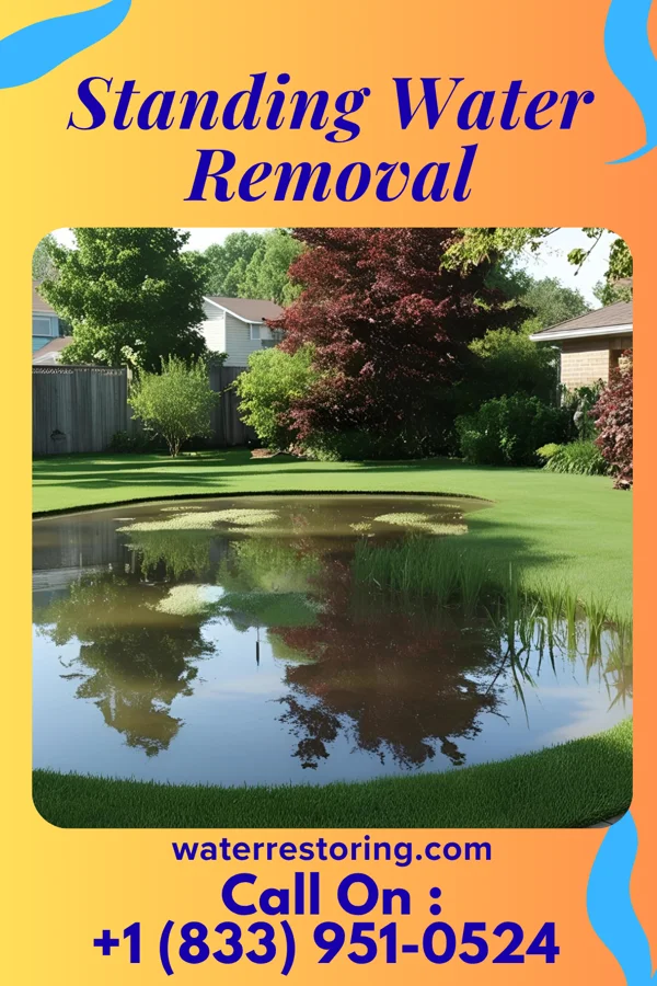 Standing Water Removal in Brentwood, TN